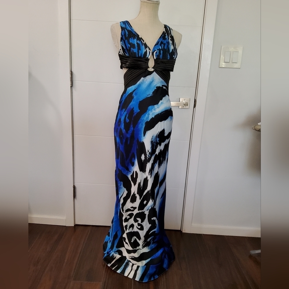 Cache Evening Maxi Dress Size 2